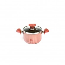 Kavir Cookware Anahita Pot-16cm
