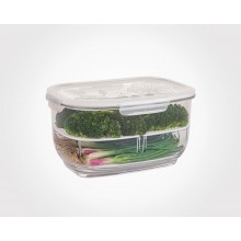 Limon Fruit Container-L